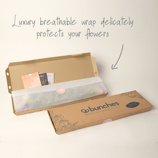 Letterbox Flowers by Post FREE UK Delivery FLOWERS BY POST FREE