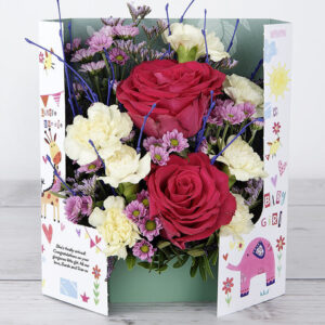 New Baby Girl Celebration Flowers with Dutch Roses, Spray Carnations and Lilac Birch Twigs