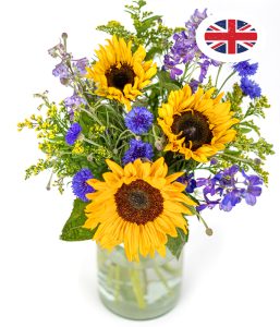 British Summer Meadow