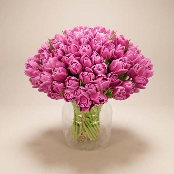 Purple Tulips