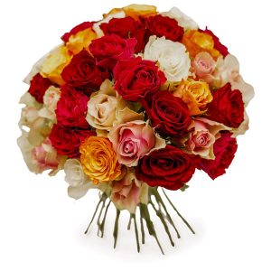 Special Moment – Deluxe