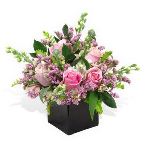 Stock and Rose – Deluxe