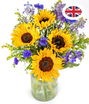 British Summer Meadow