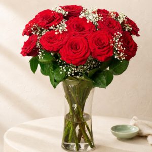 12 Red Roses & Gypsophila