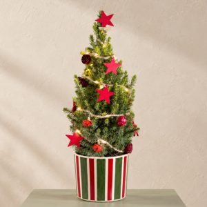 Decorated Christmas Tree